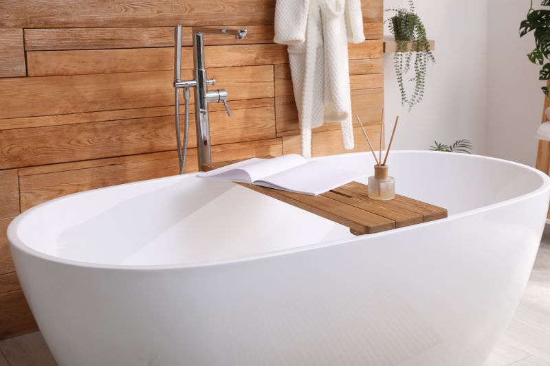 Elegant Bathtub and Shower Combo